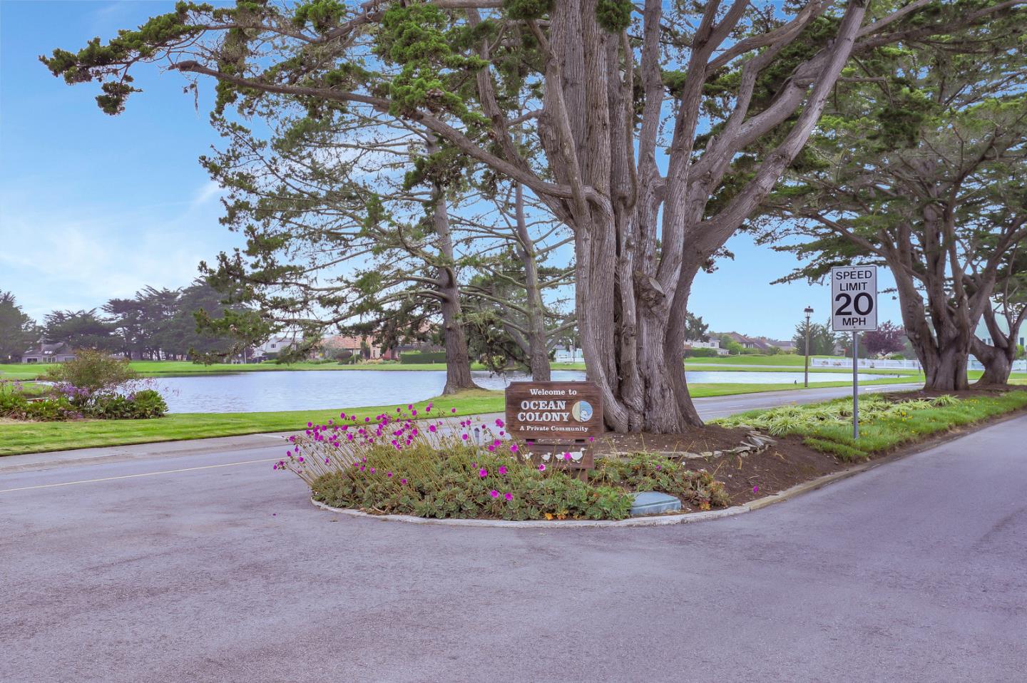 4 Muirfield Road Half Moon Bay, CA 94019 - Photo 39 of 40 a view of a garden with an outdoor space