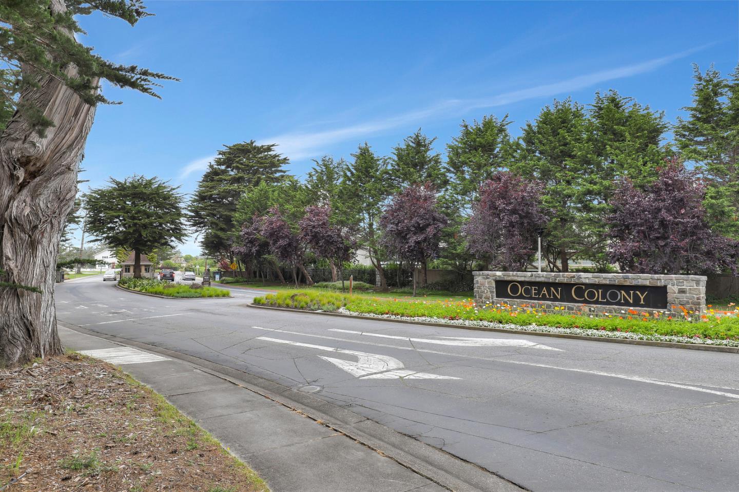 4 Muirfield Road Half Moon Bay, CA 94019 - Photo 40 of 40 a view of a swimming pool with a yard
