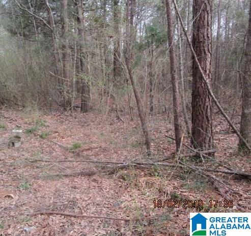 0 Meredith Way Montevallo, AL 35115 - Photo 1 of 3