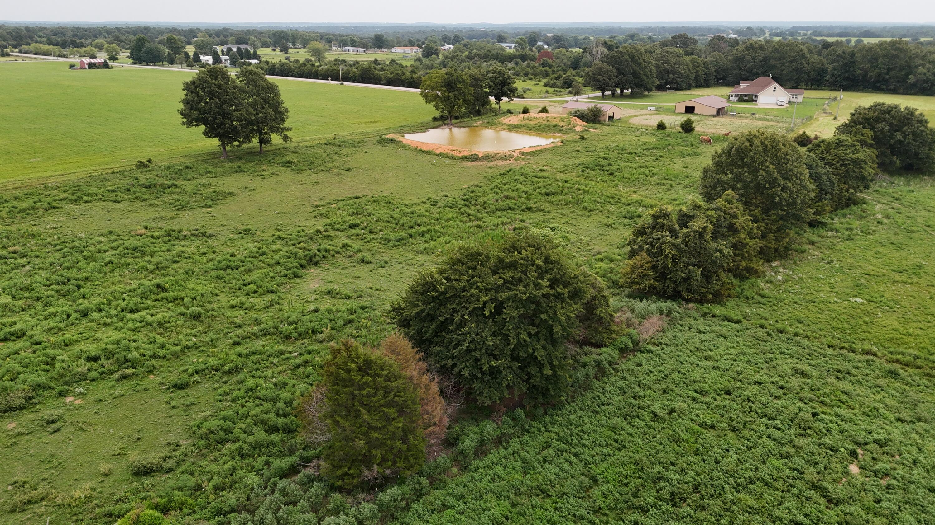 638 Centerpoint Road Seymour, MO 65746 - Photo 34 of 60 DJI_20260723161417_0262_D