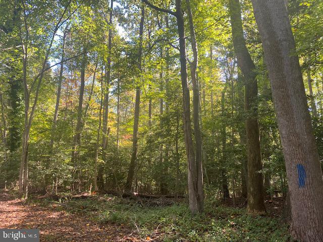 10375 Breeden Road Lusby, MD 20657 - Photo 2 of 2 Gallery Image 2
