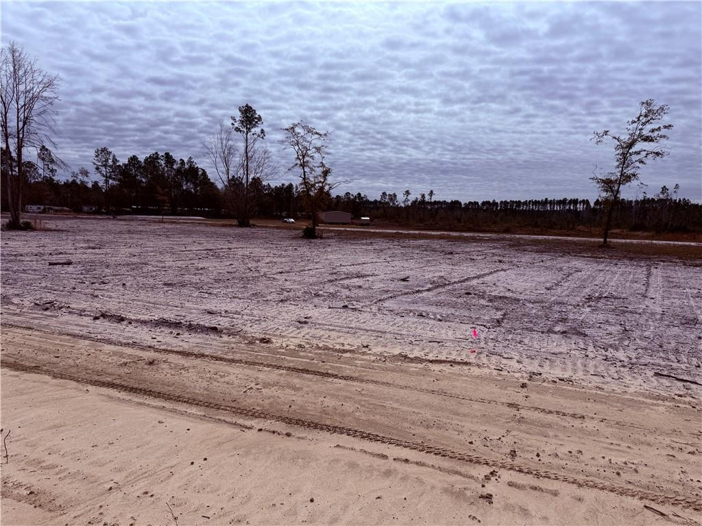 Lot 14 Wiregrass Lane, Unit 14 Waycross, GA 31503 - Photo 5 of 6