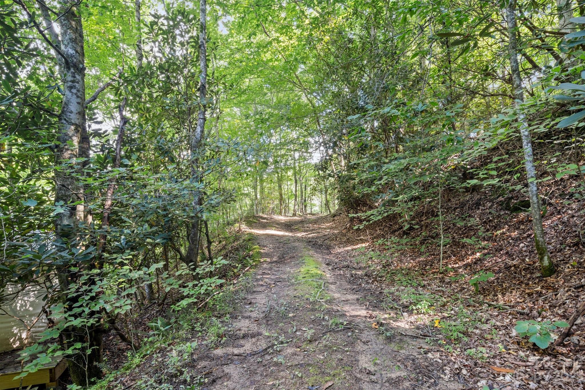 0 Stackhouse Road Marshall, NC 28753 - Photo 12 of 26 Gallery Image 12