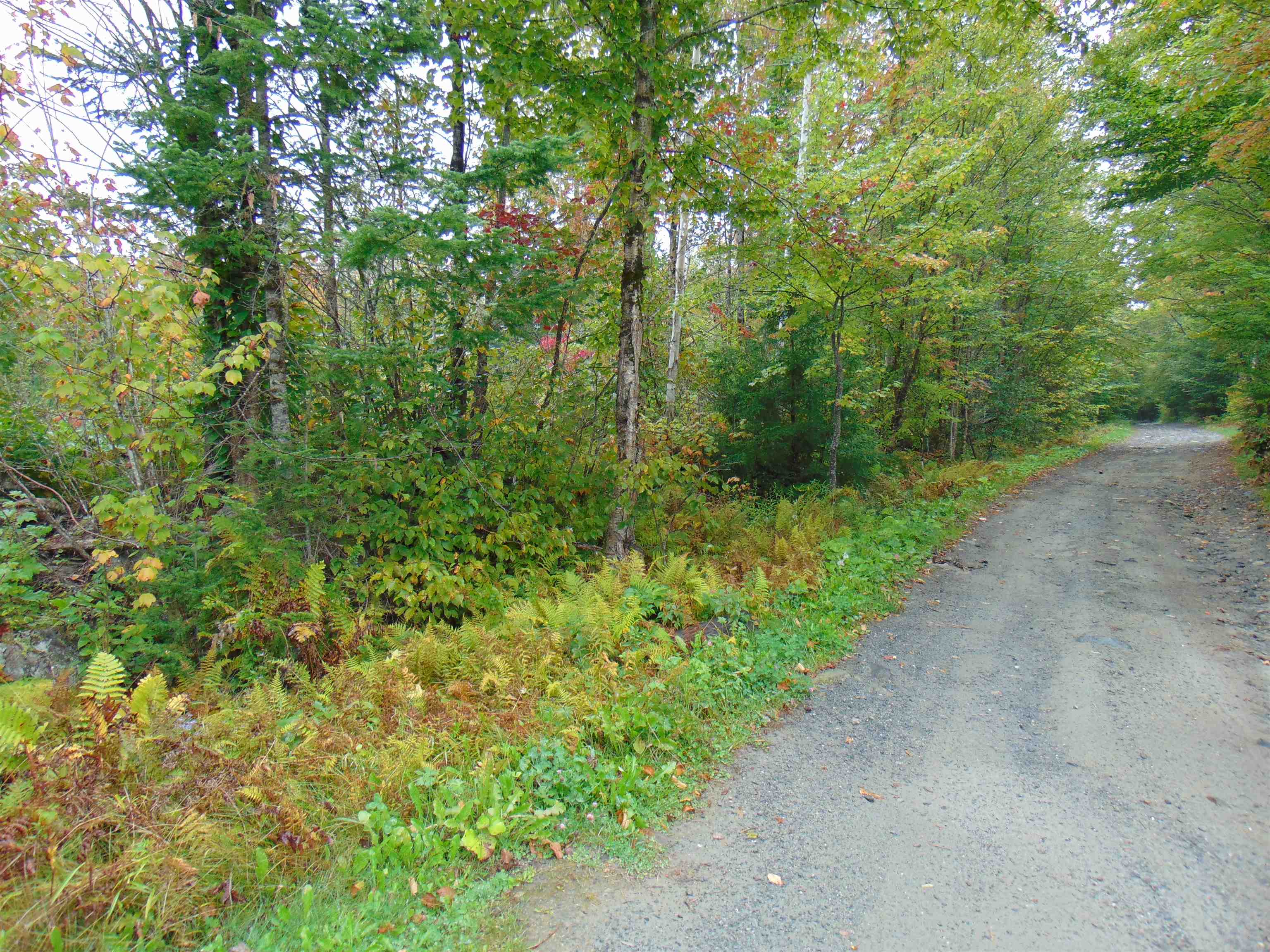 1538 Johnson Road Concord, VT 05824 - Photo 2 of 21