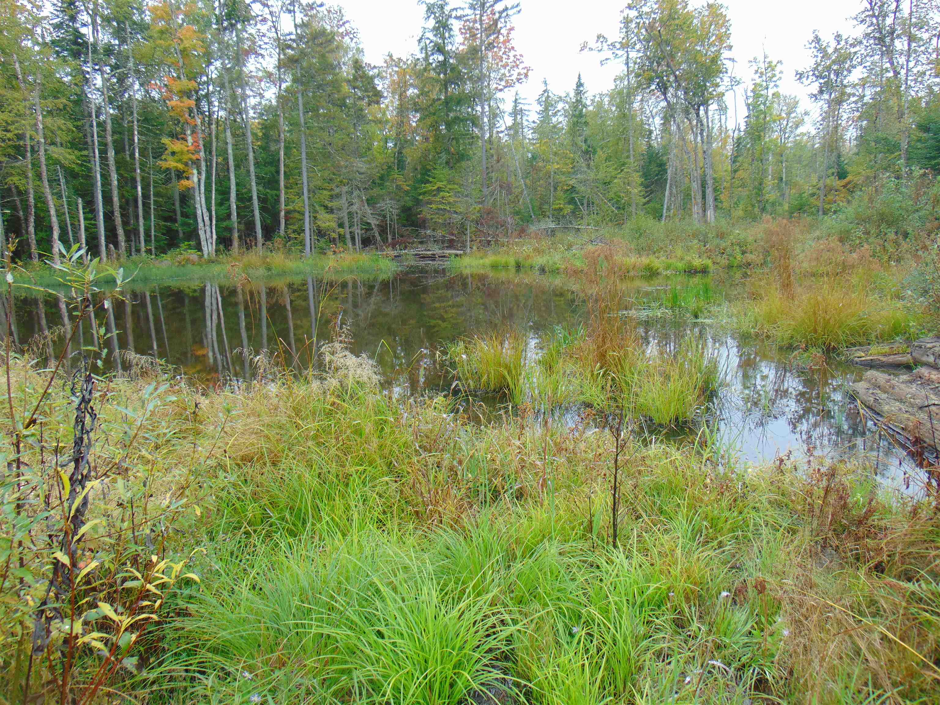 1538 Johnson Road Concord, VT 05824 - Photo 11 of 21