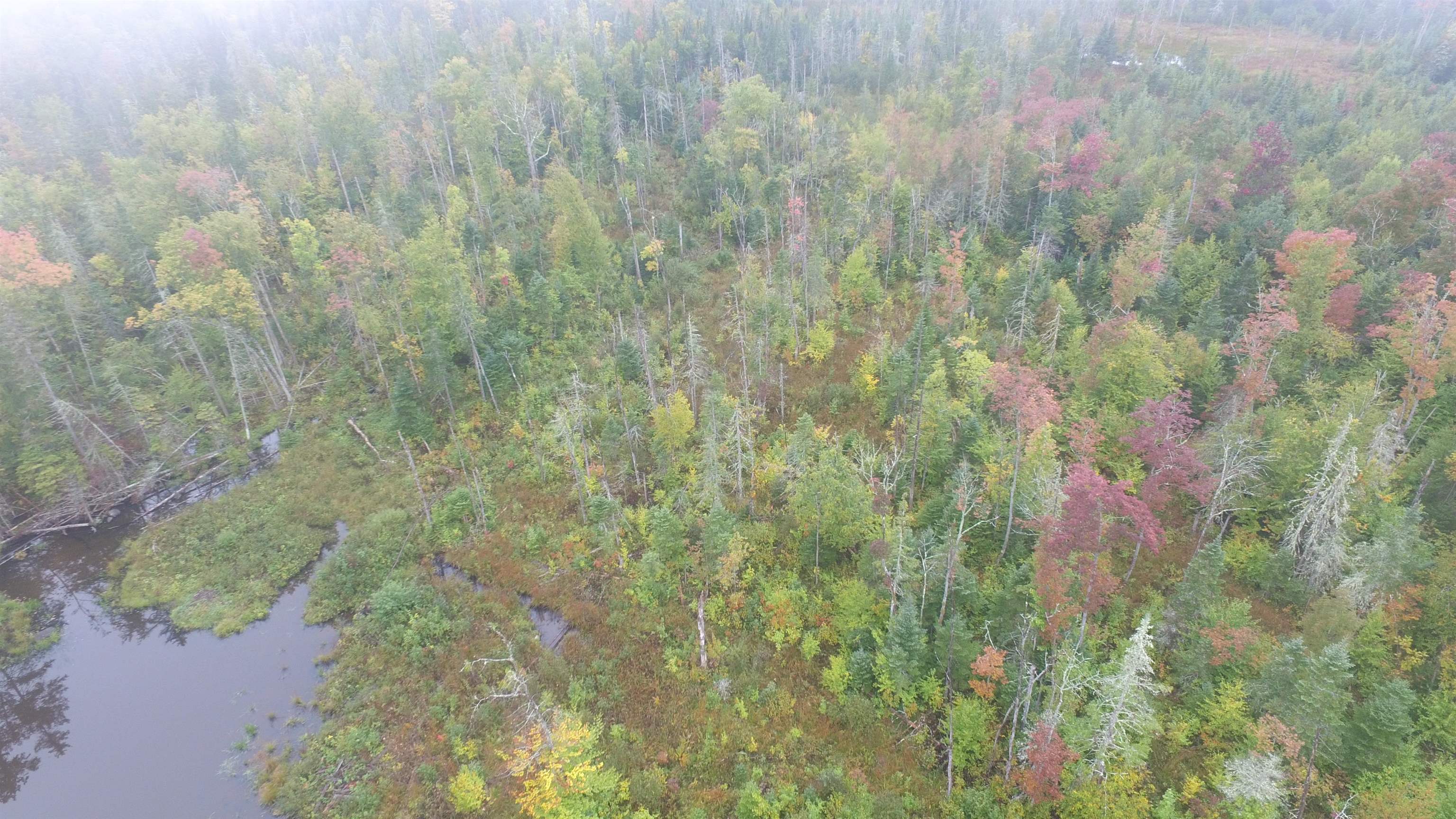 1538 Johnson Road Concord, VT 05824 - Photo 19 of 21