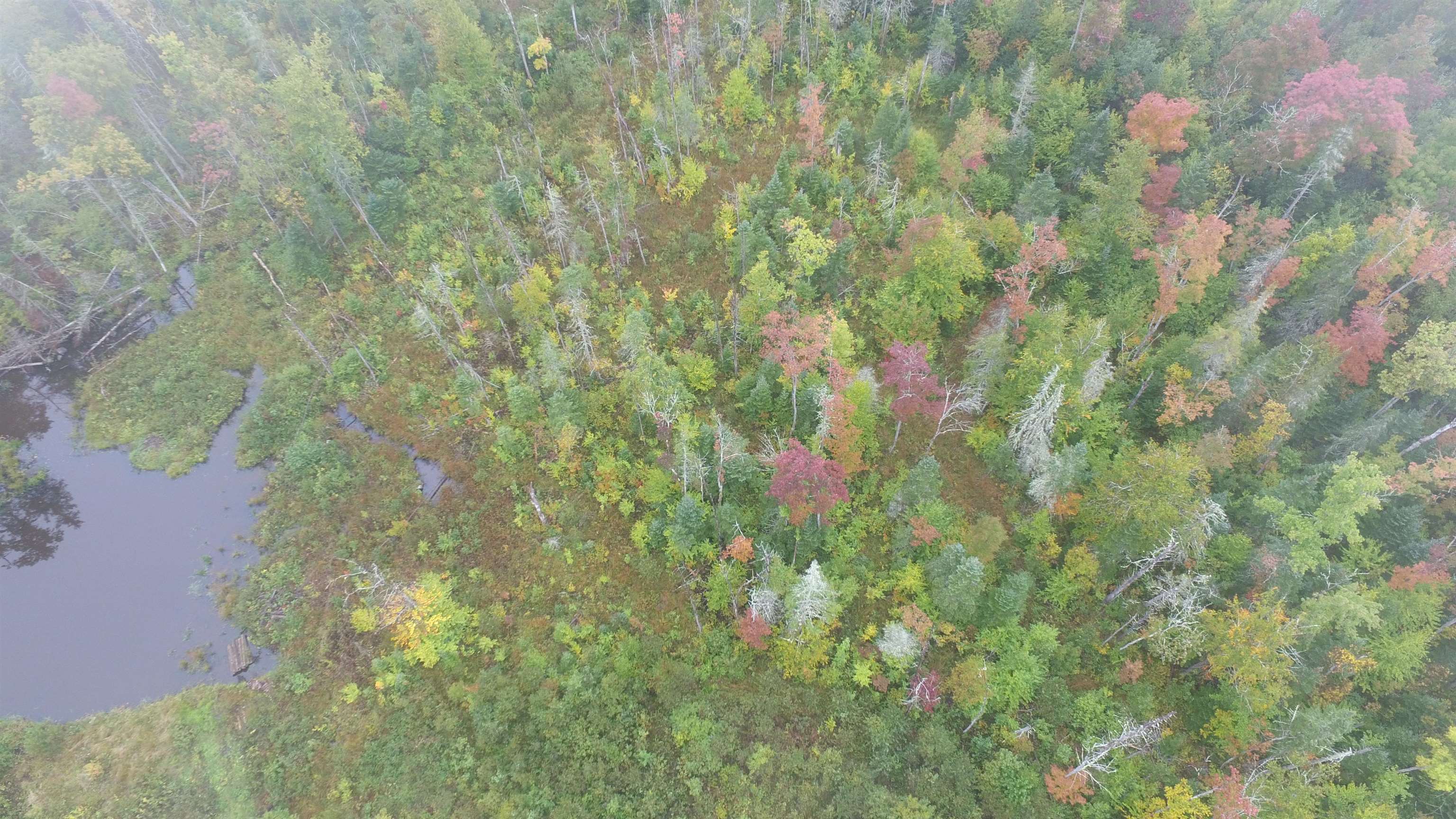 1538 Johnson Road Concord, VT 05824 - Photo 21 of 21