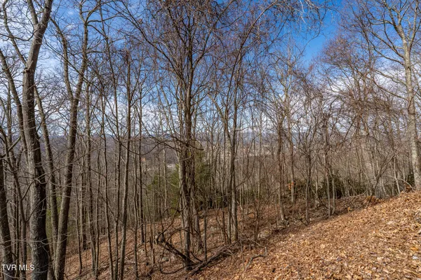 $85,000 | Tbd Iroquois Road, Unit 8, Mountain City, TN 37683