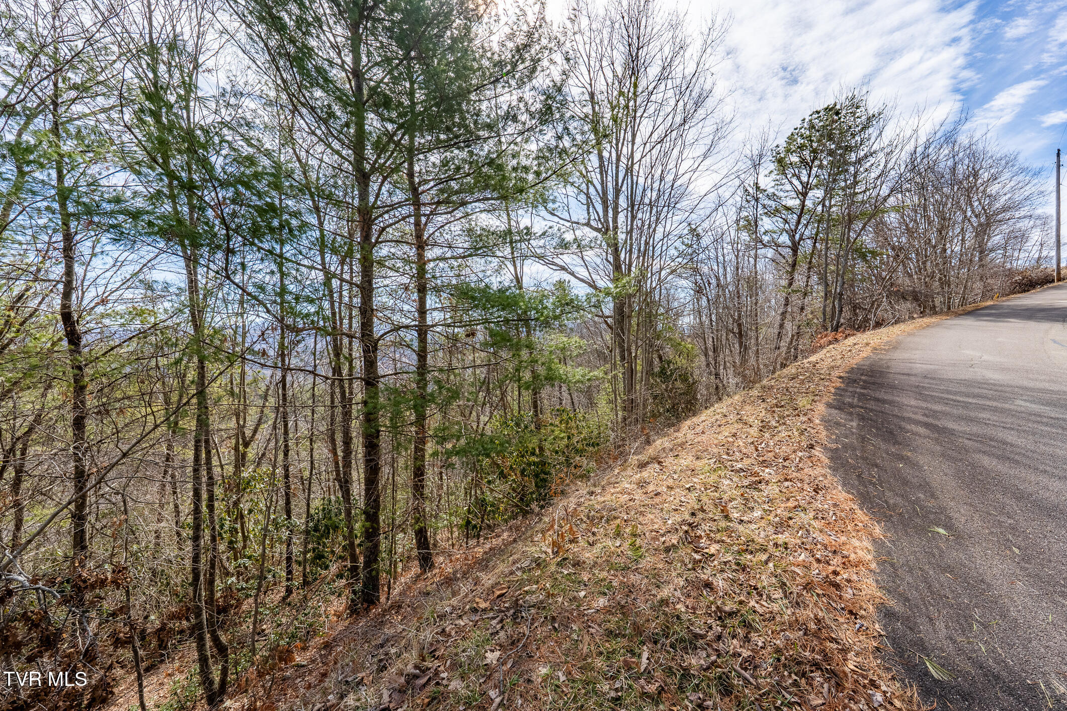 Tbd Iroquois Road, Unit 8 Mountain City, TN 37683 - Photo 11 of 12 TBD Callalantee (30 of 34)