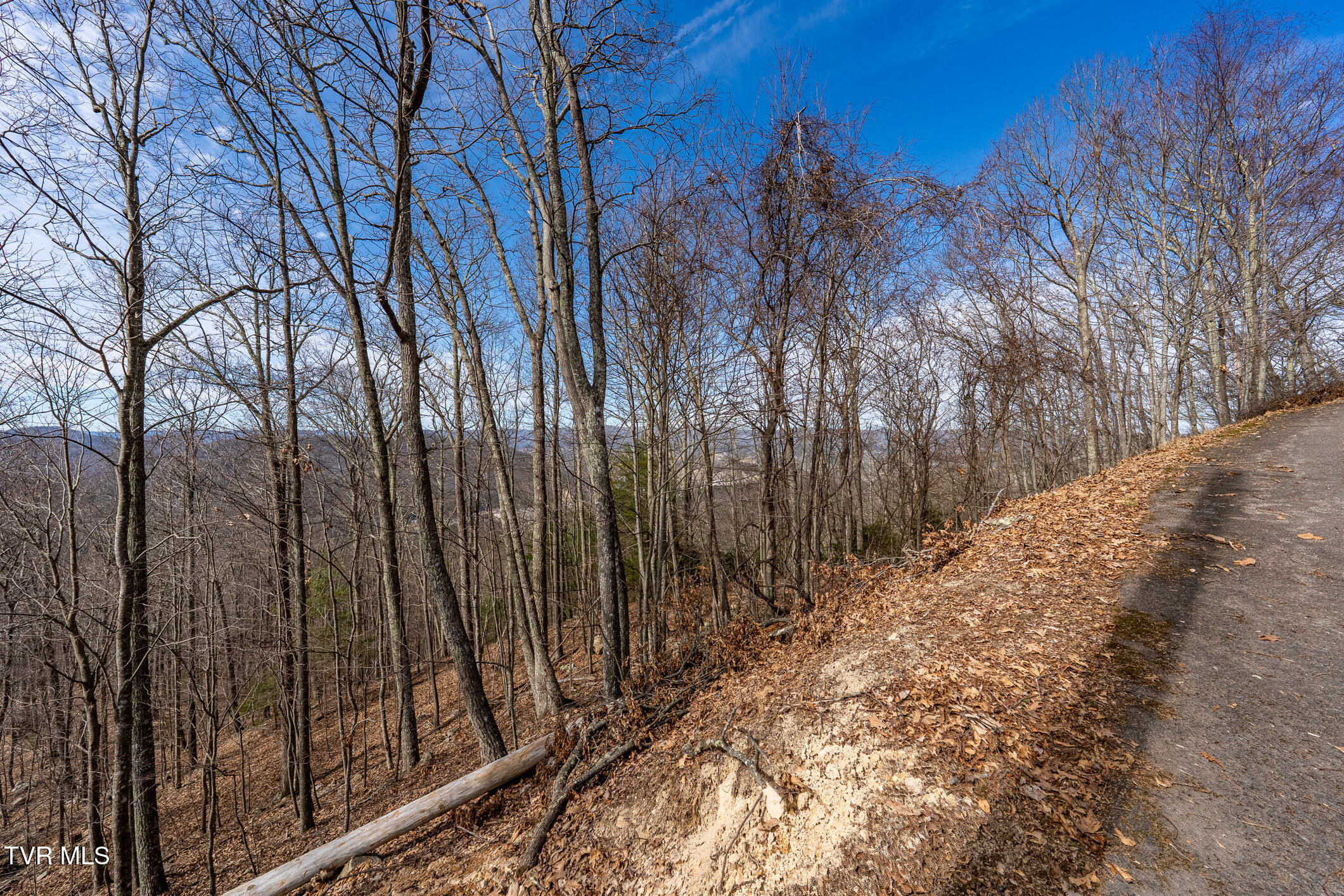 Tbd Iroquois Road, Unit 8 Mountain City, TN 37683 - Photo 12 of 12 TBD Callalantee (32 of 34)