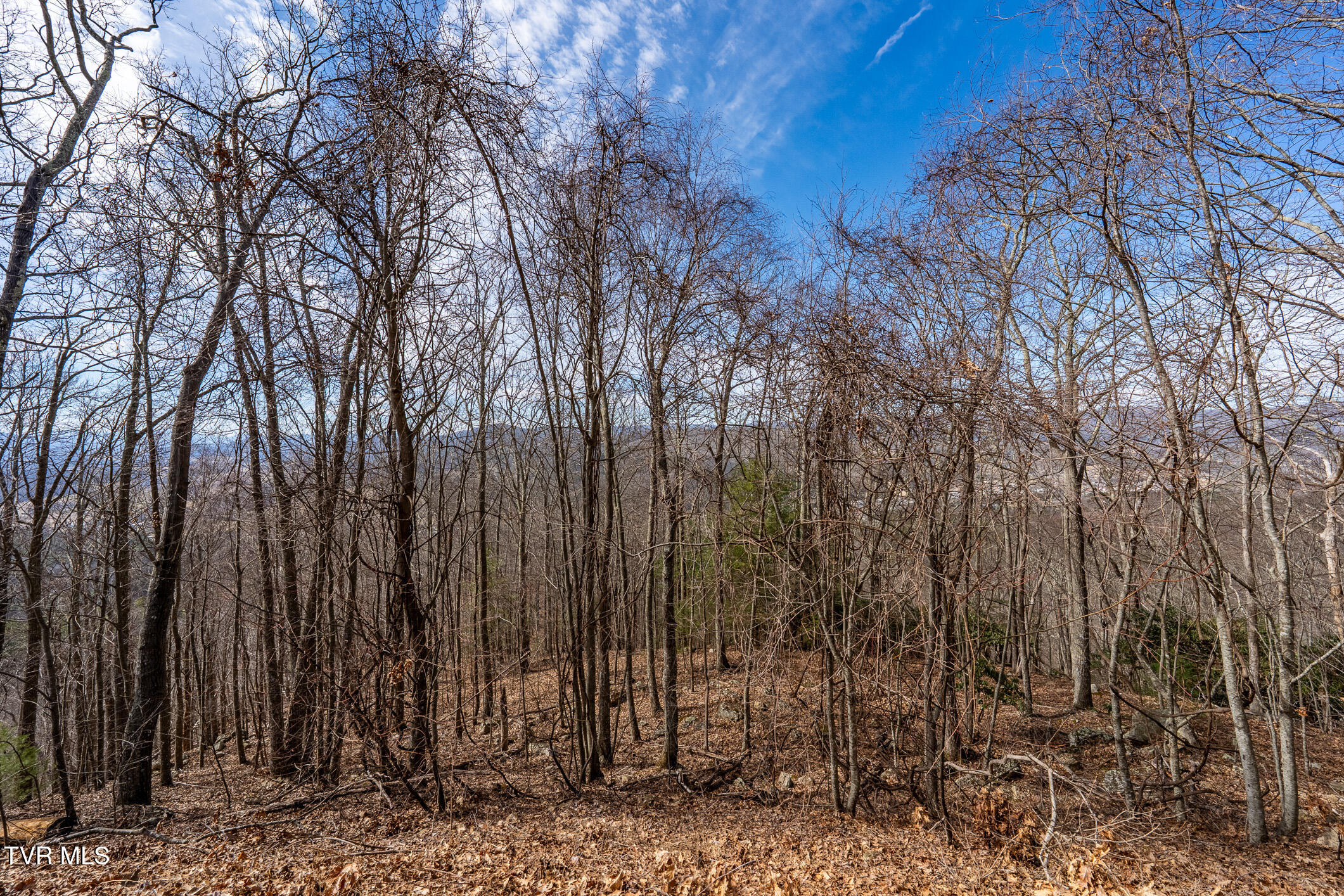 Tbd Iroquois Road, Unit 8 Mountain City, TN 37683 - Photo 2 of 12 TBD Callalantee (34 of 34)
