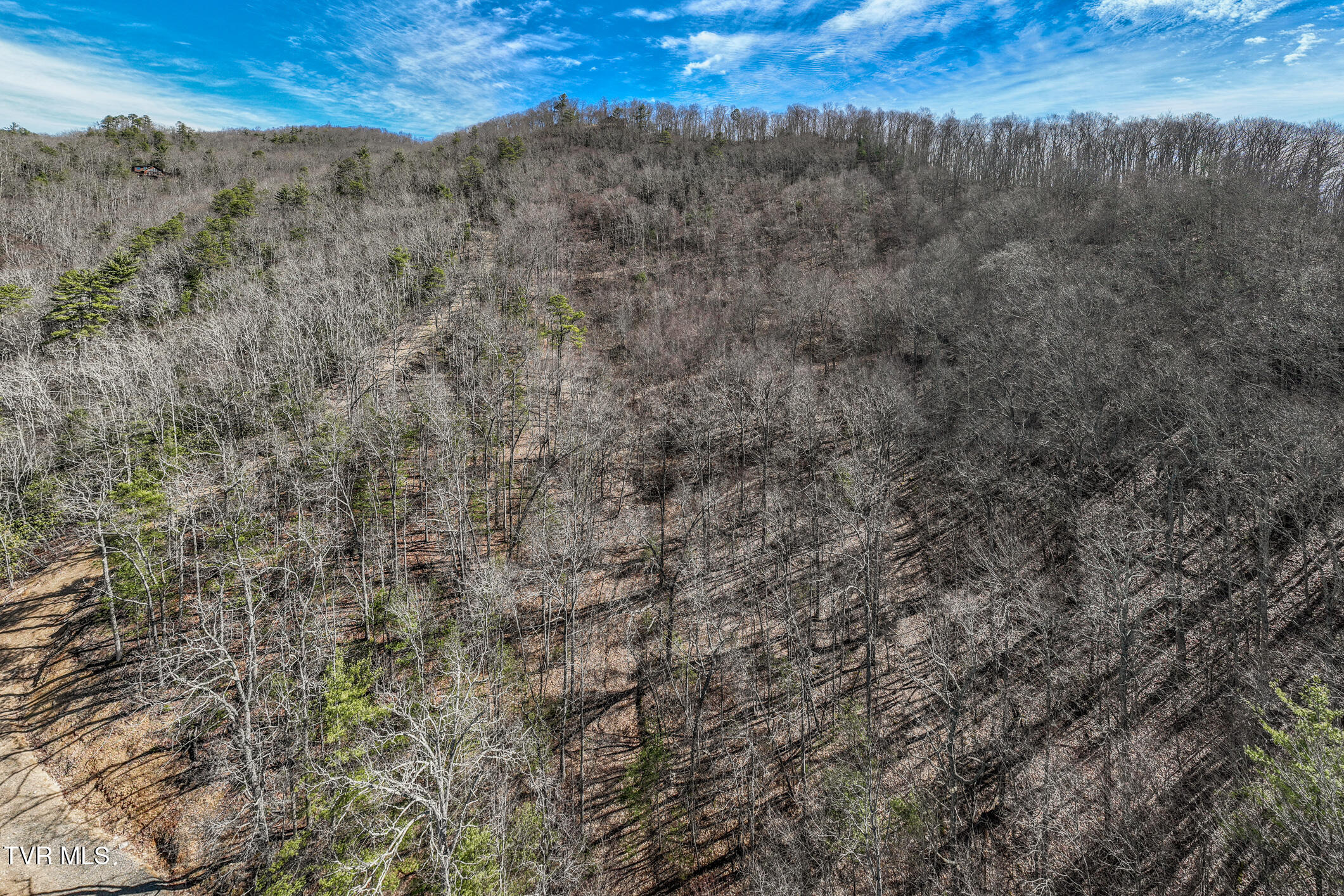 Tbd Iroquois Road, Unit 8 Mountain City, TN 37683 - Photo 7 of 12 TBD Callalantee (8 of 34)