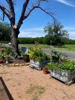 a view of backyard with a table and chair and potted plants