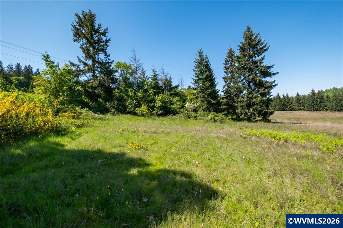 201560 Orchard Tract Road Monroe, OR 97456 - Photo 22 of 23