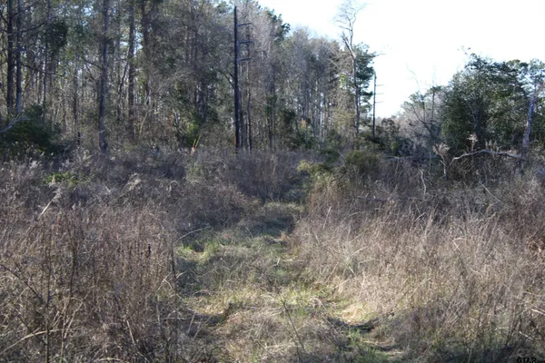 $195,000 | 1627- 30 Acres Rusk Tx 75785, Rusk, TX 75785
