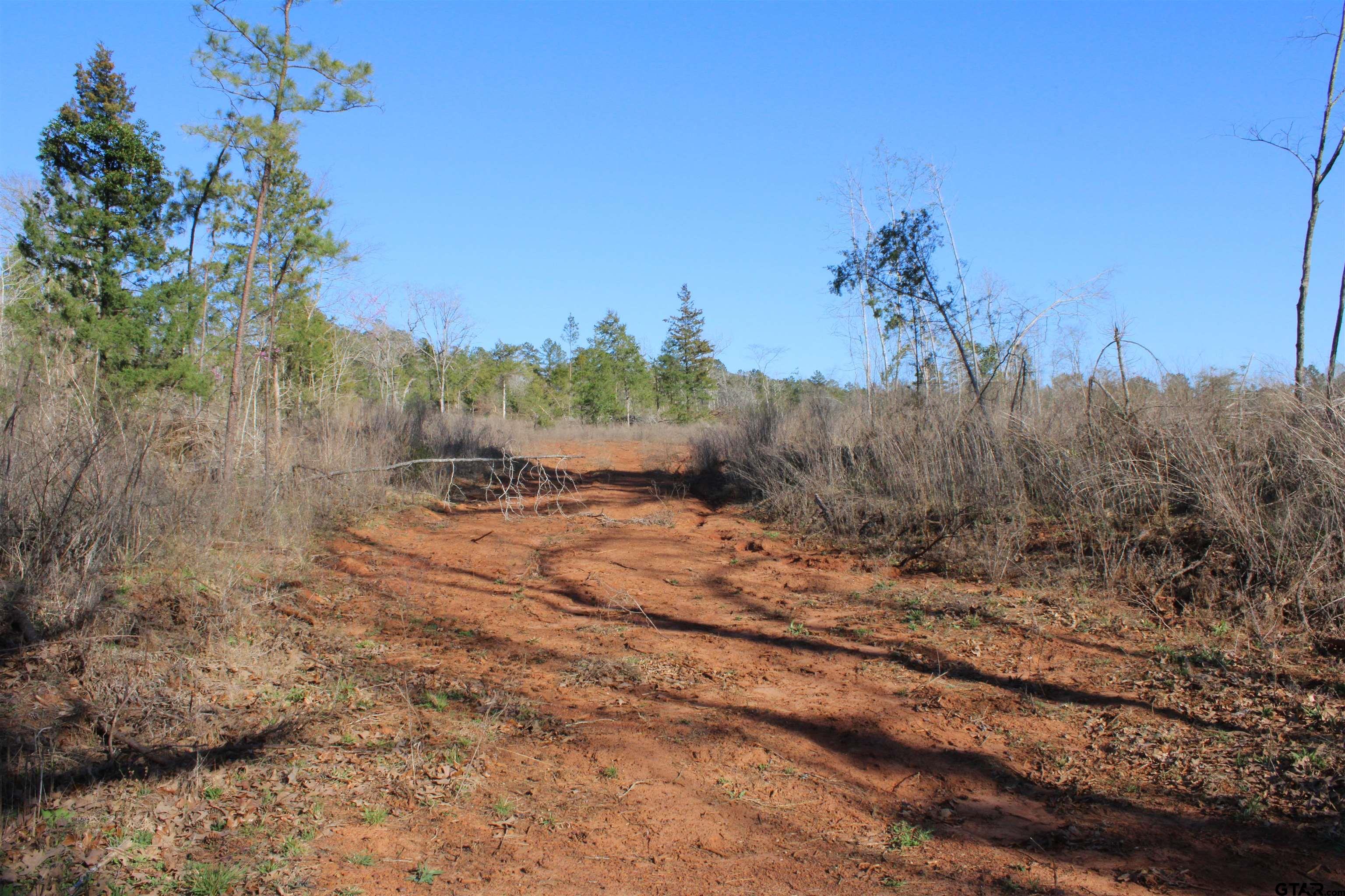 1627- 30 Acres Rusk Tx 75785 Rusk, TX 75785 - Photo 3 of 9