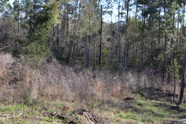 $195,000 | 1627- 30 Acres Rusk Tx 75785, Rusk, TX 75785