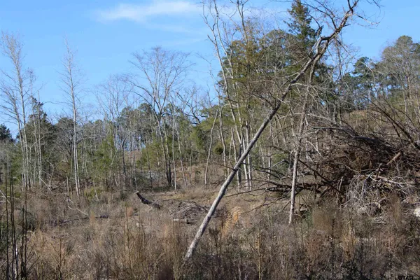 $195,000 | 1627- 30 Acres Rusk Tx 75785, Rusk, TX 75785