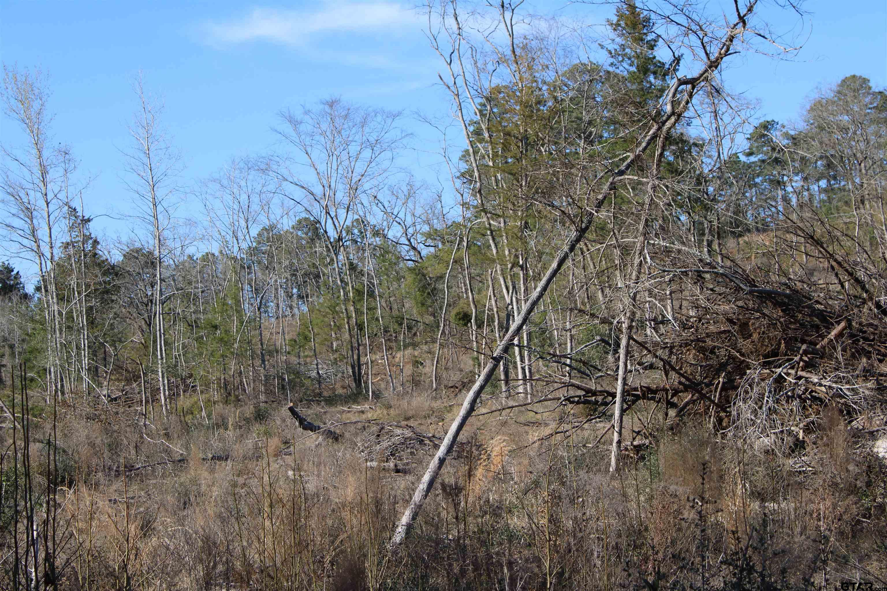 1627- 30 Acres Rusk Tx 75785 Rusk, TX 75785 - Photo 5 of 9