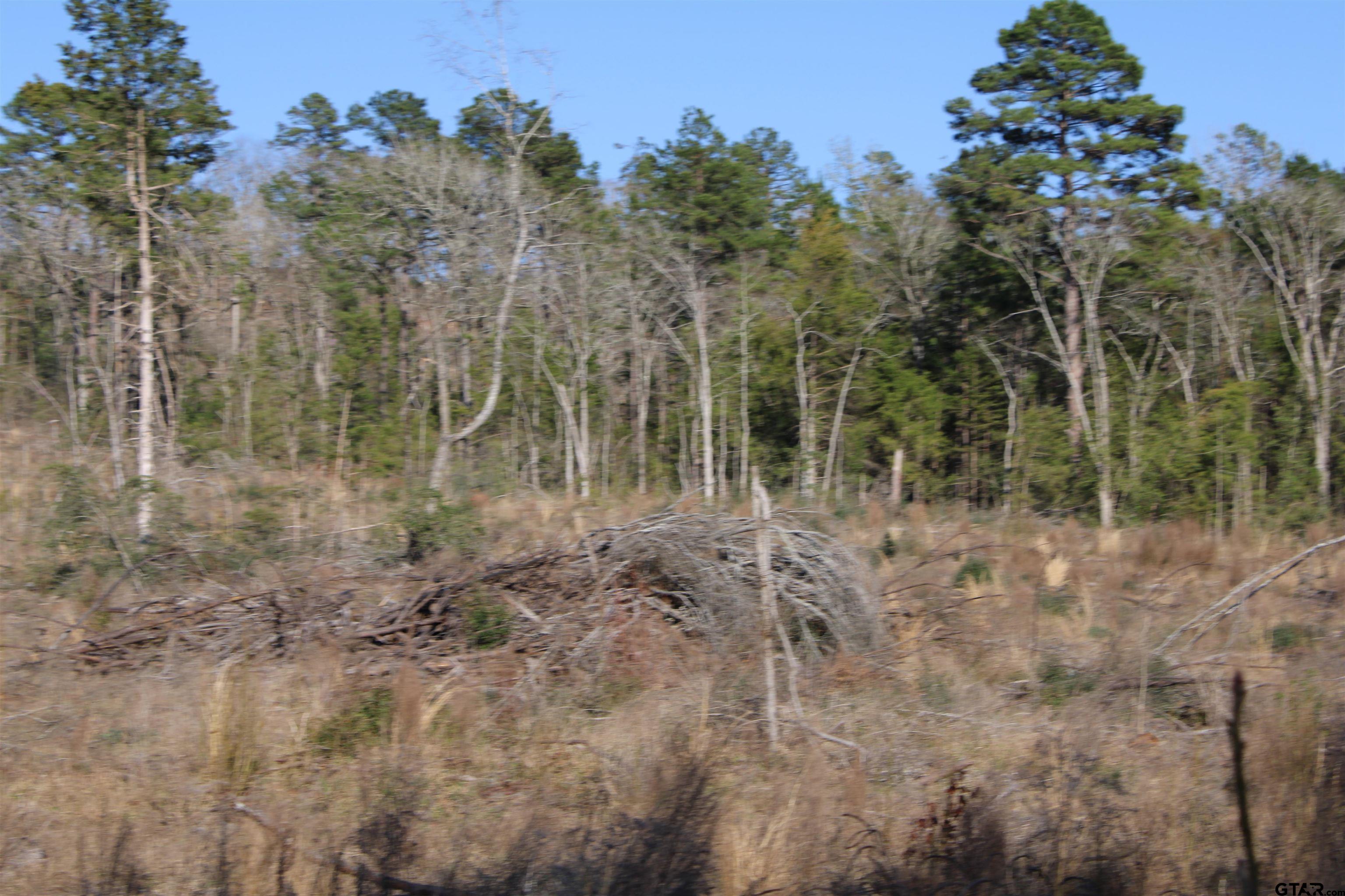 1627- 30 Acres Rusk Tx 75785 Rusk, TX 75785 - Photo 6 of 9