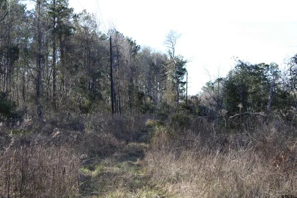 $195,000 | 1627- 30 Acres Rusk Tx 75785, Rusk, TX 75785