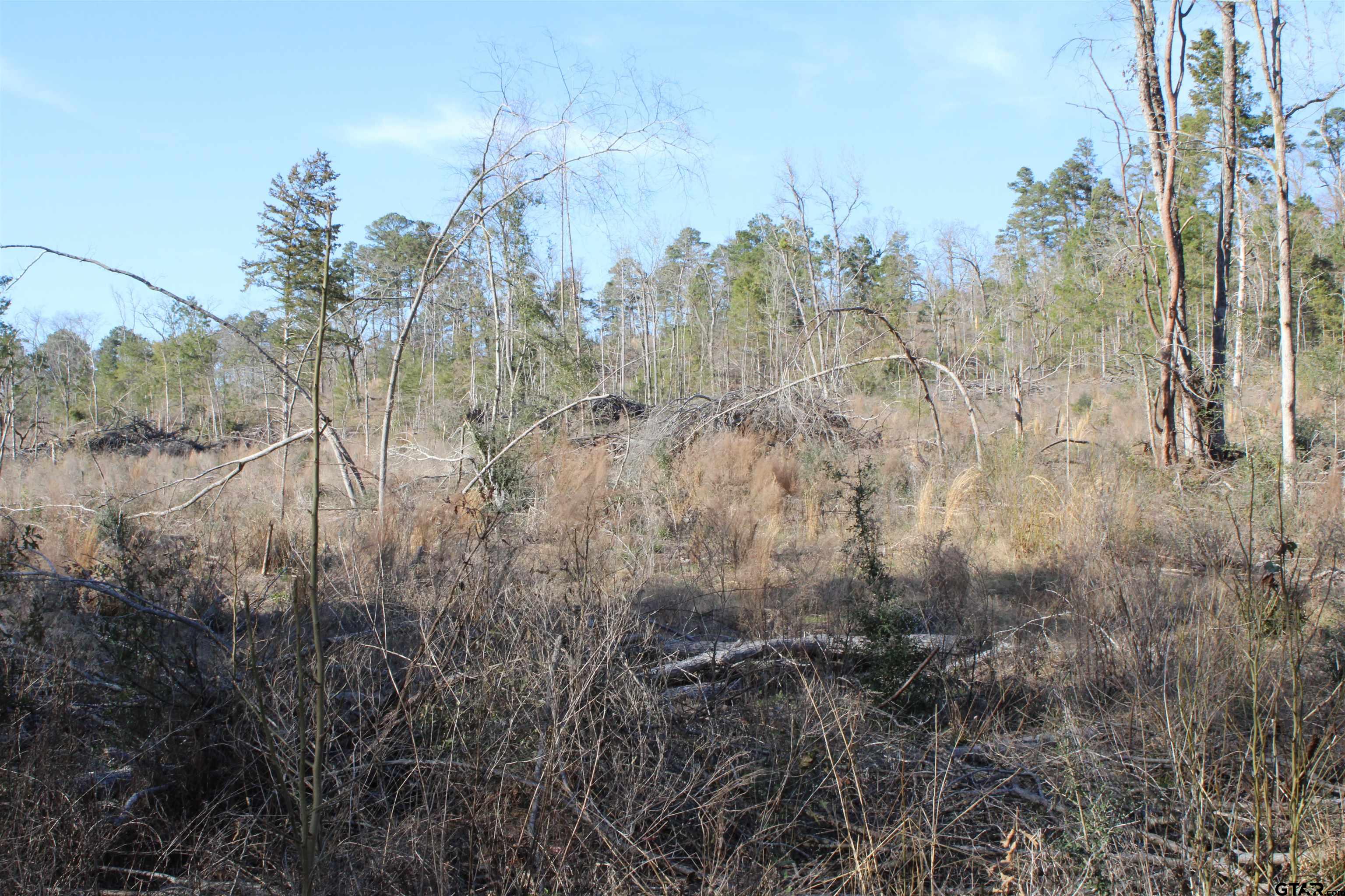 1627- 30 Acres Rusk Tx 75785 Rusk, TX 75785 - Photo 8 of 9