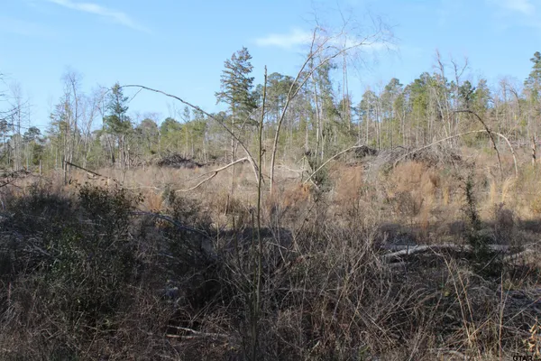 $195,000 | 1627- 30 Acres Rusk Tx 75785, Rusk, TX 75785