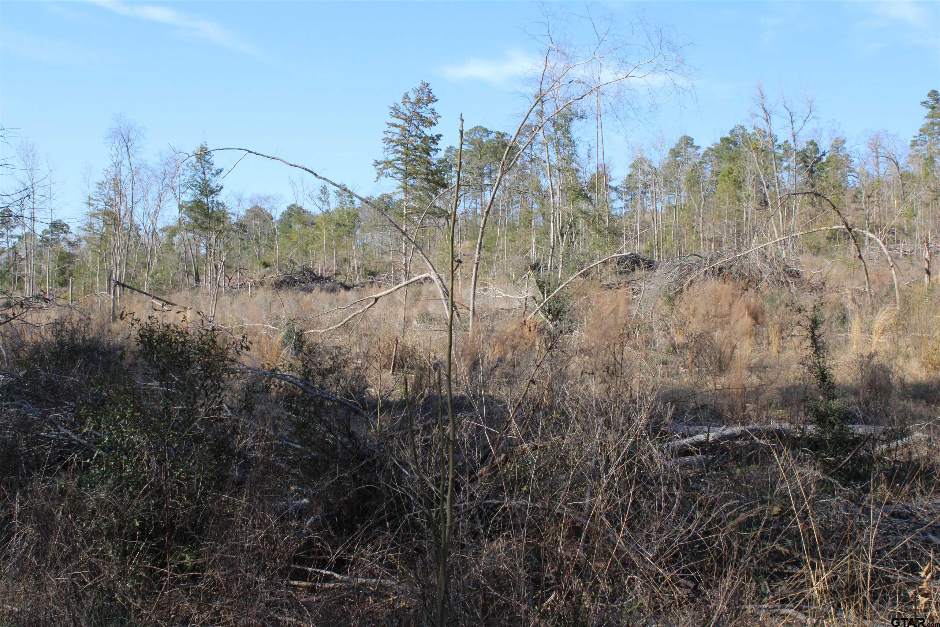 1627- 30 Acres Rusk Tx 75785 Rusk, TX 75785 - Photo 9 of 9