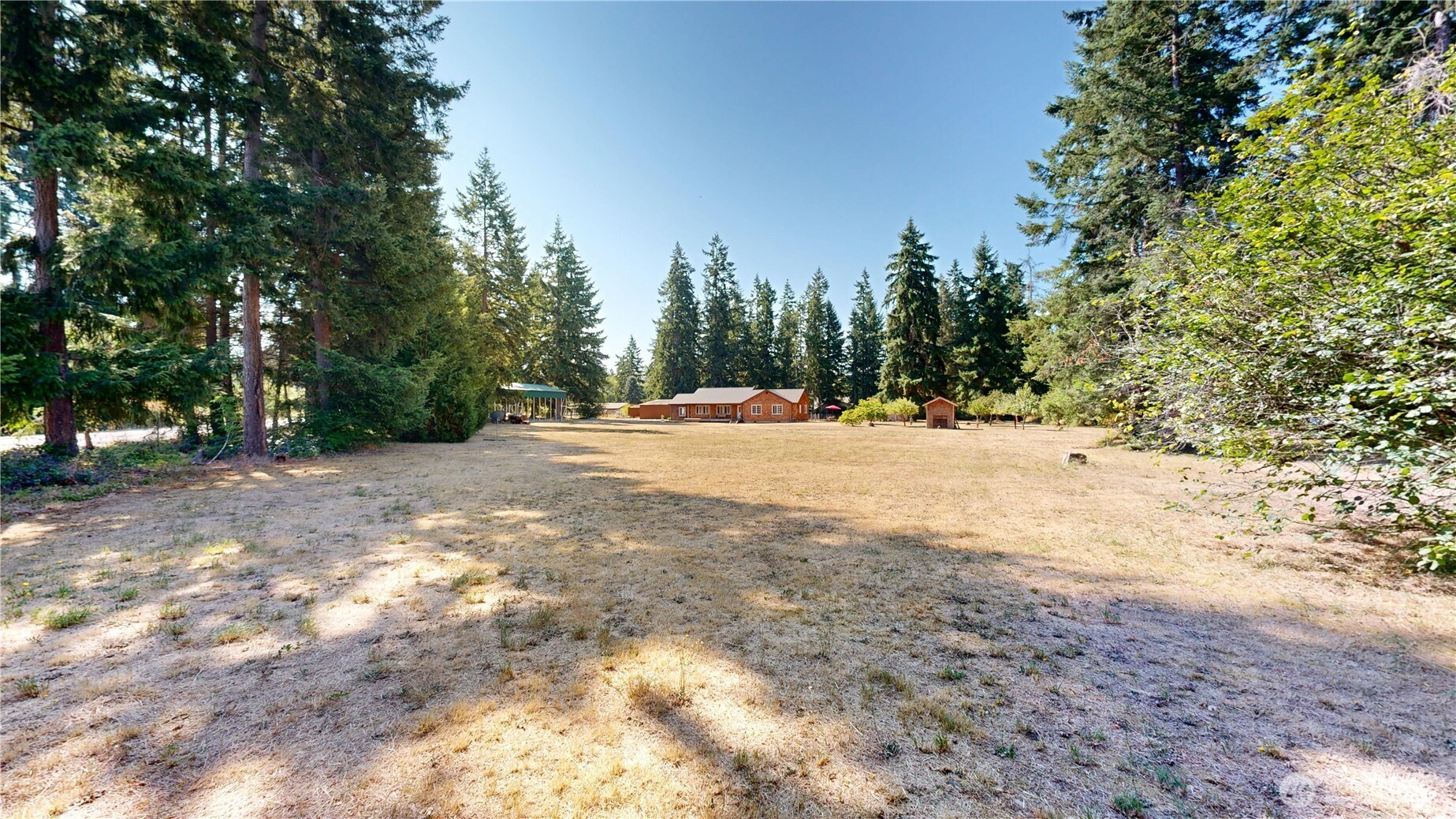 35812 Allen Road South Roy, WA 98580 - Photo 29 of 39 a view of of trees with trees in the background