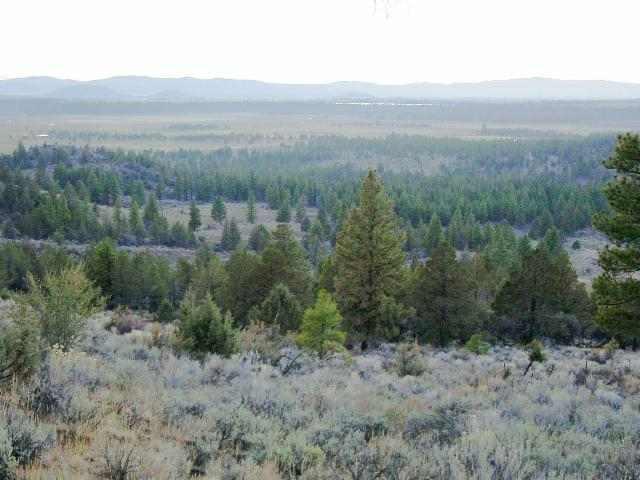 0 Godowa Spring Beatty, OR 97621 - Photo 1 of 6 Primary Photo