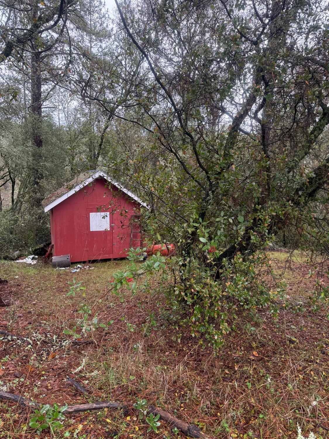 3200 Bird Haven Loop Cool, CA 95614 - Photo 18 of 29