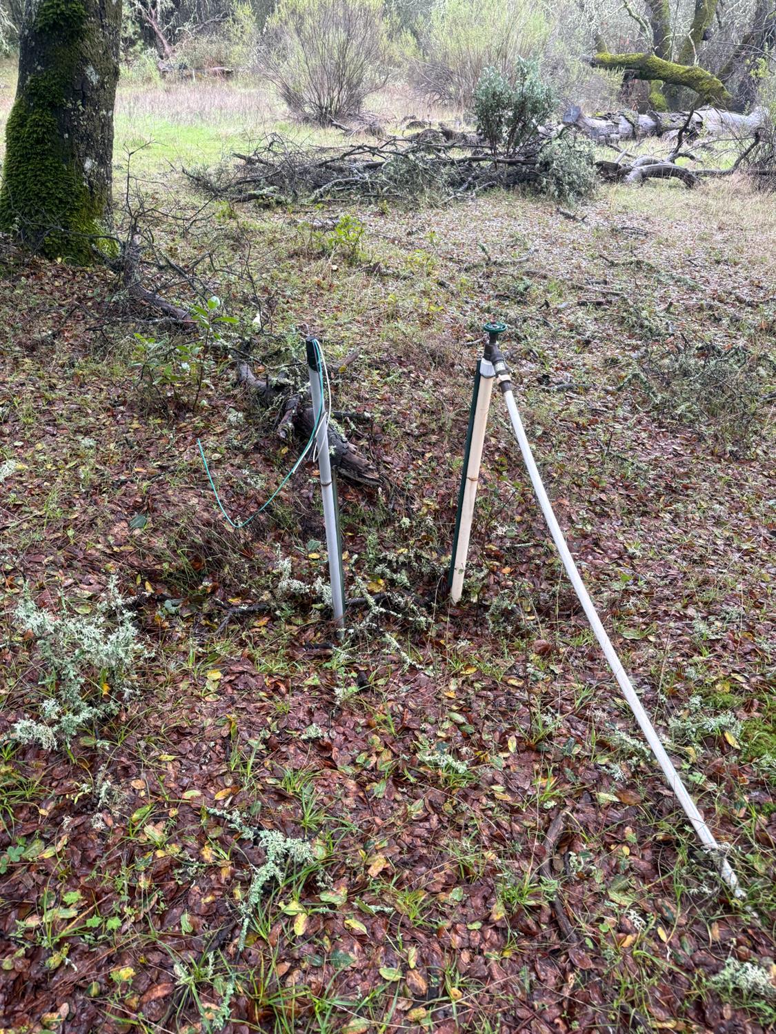 3200 Bird Haven Loop Cool, CA 95614 - Photo 21 of 29 a view of a dry yard with wooden fence