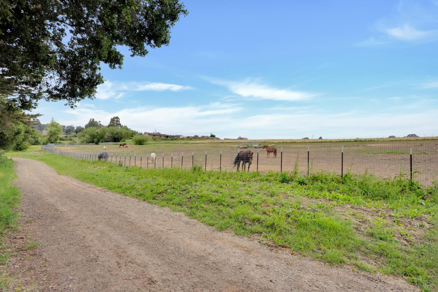 238 Pioneer Road Watsonville, CA 95076 - Photo 8 of 26 Gallery Image 8