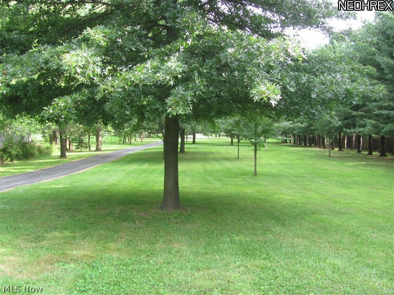 7325 Egypt Road Medina, OH 44256 - Photo 3 of 20 Gallery Image 3