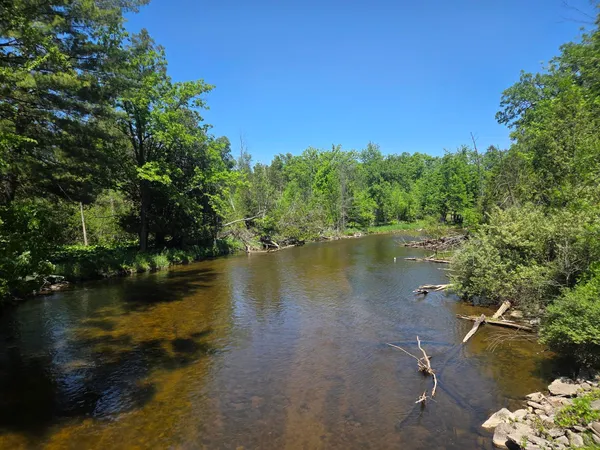 $1,250,000 | 5172 West Pickard Road, Mount Pleasant, MI 48858