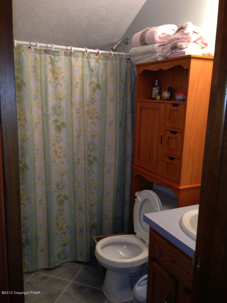 1237 Salisbury Road Bushkill, PA 18324 - Photo 8 of 11 a bathroom with a sink a toilet and shower curtain