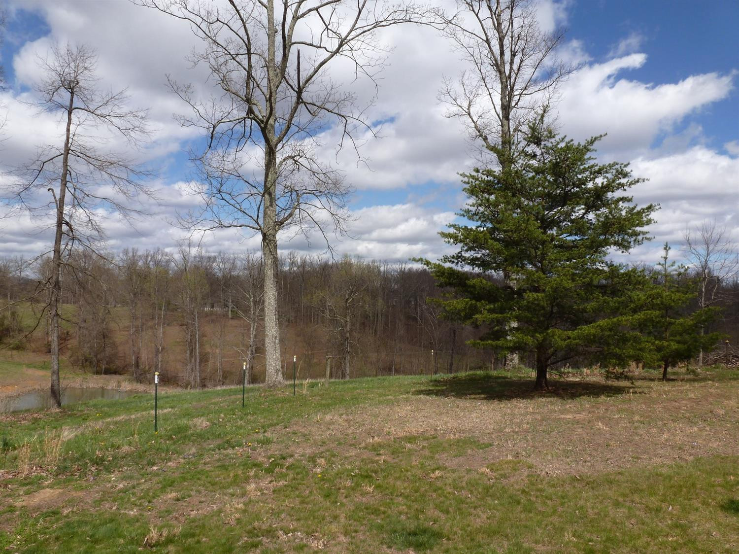 3821 Amos Ridge Road Frenchburg, KY 40322 - Photo 74 of 88 Photo 74