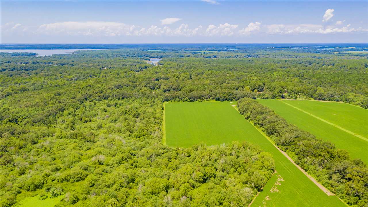 0 East Bay Road Foley, AL 36535 - Photo 4 of 10
