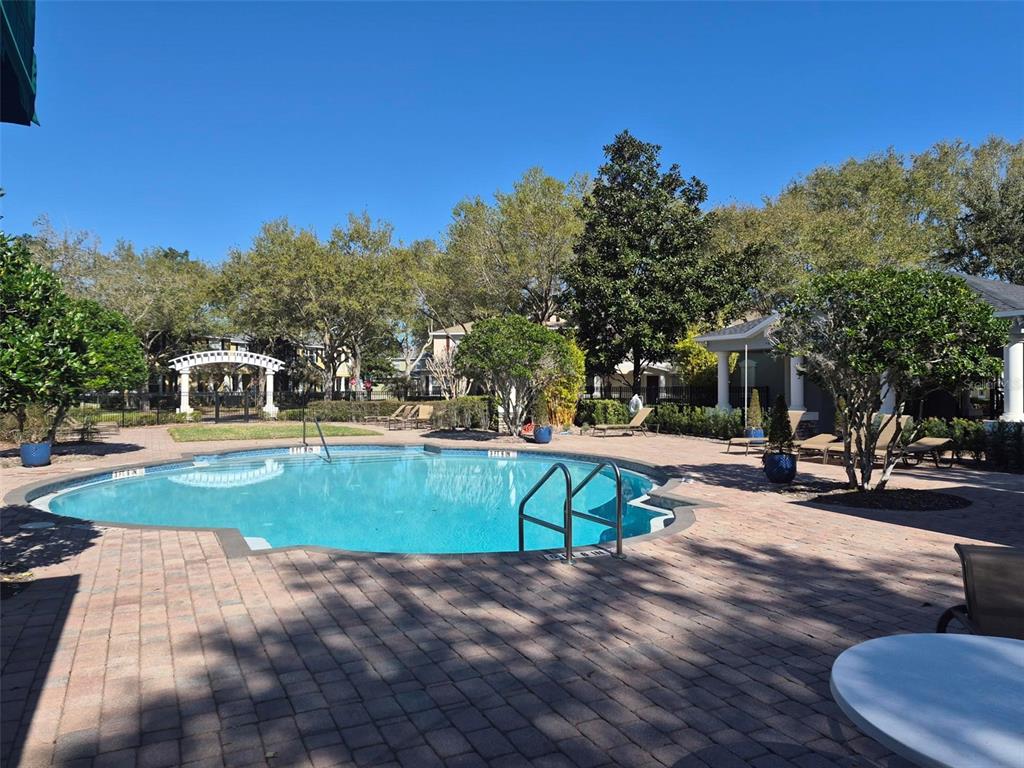6573 Helmsley Circle Windermere, FL 34786 - Photo 51 of 54 a view of a swimming pool with a patio