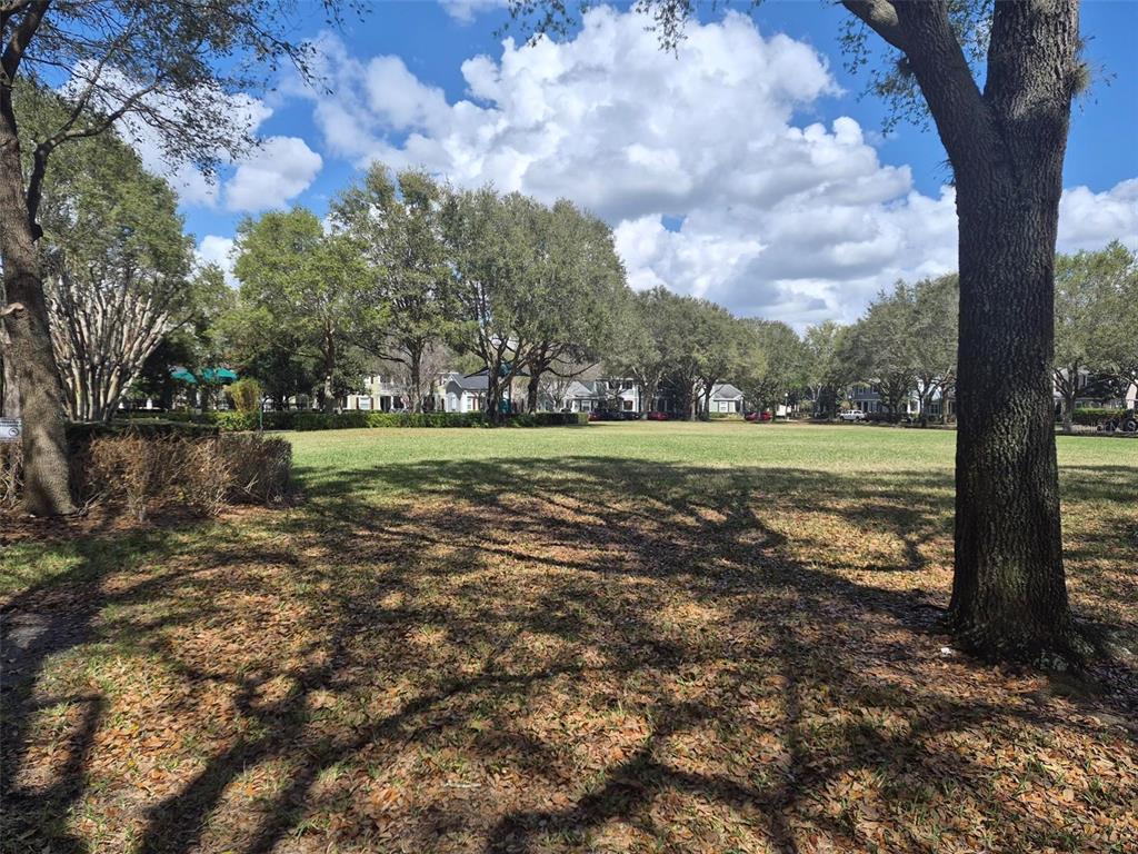 6573 Helmsley Circle Windermere, FL 34786 - Photo 53 of 54 a view of a field with a tree in it