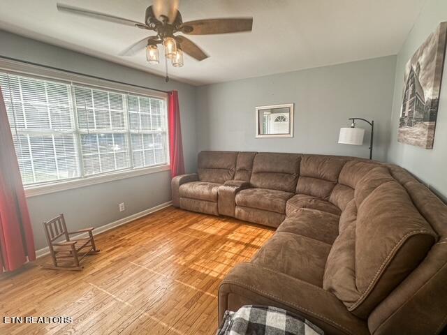 111 Hawkins Road Sweetwater, TN 37874 - Photo 8 of 18 image3