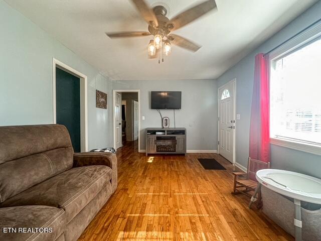 111 Hawkins Road Sweetwater, TN 37874 - Photo 9 of 18 image4