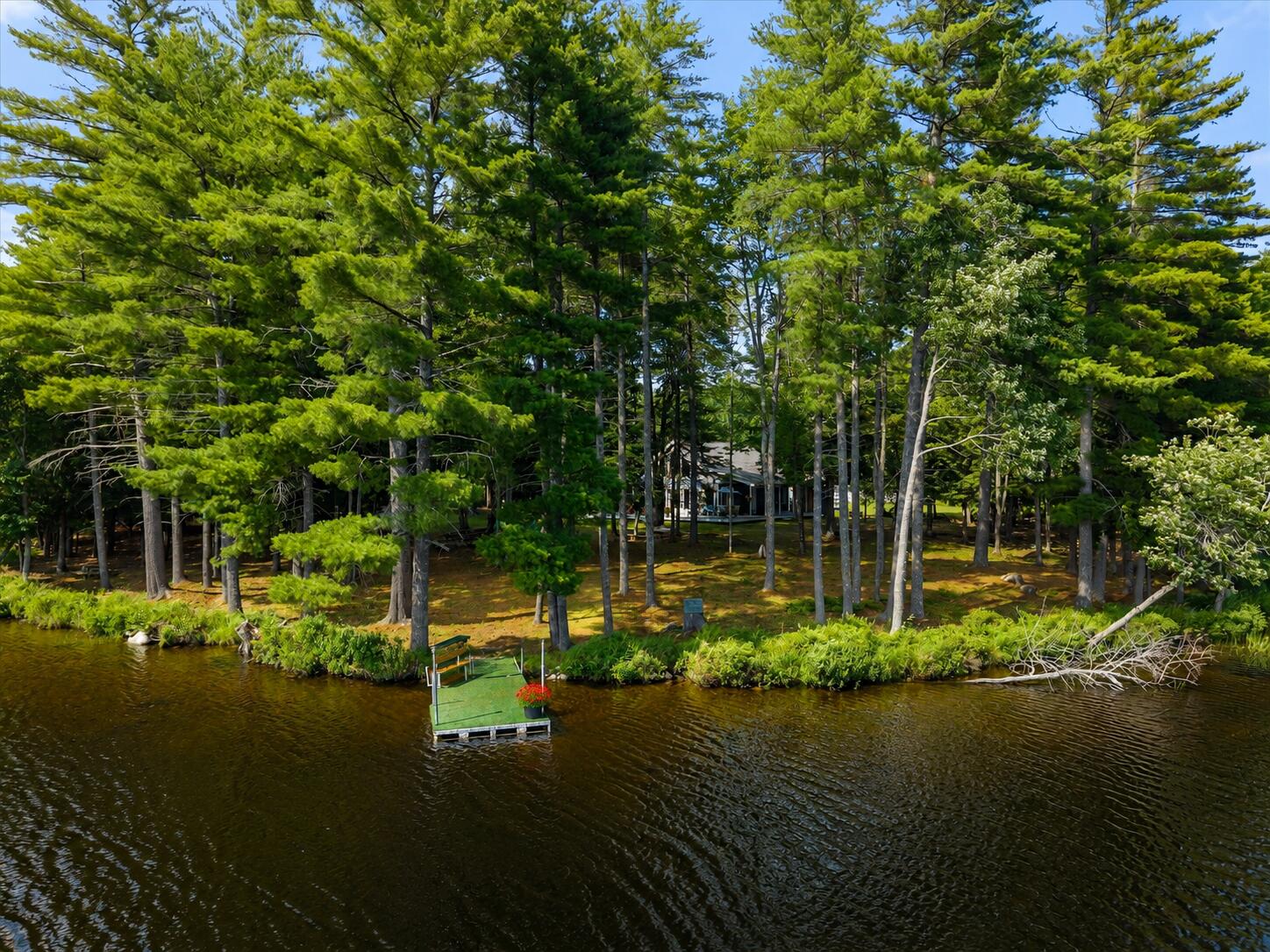 112 Dead Stream Road Lincoln, ME 04457 - Photo 61 of 69 Dockwater