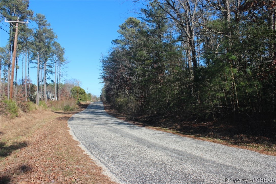 16.3-ac Pierce Road Saluda, VA 23149 - Photo 17 of 18