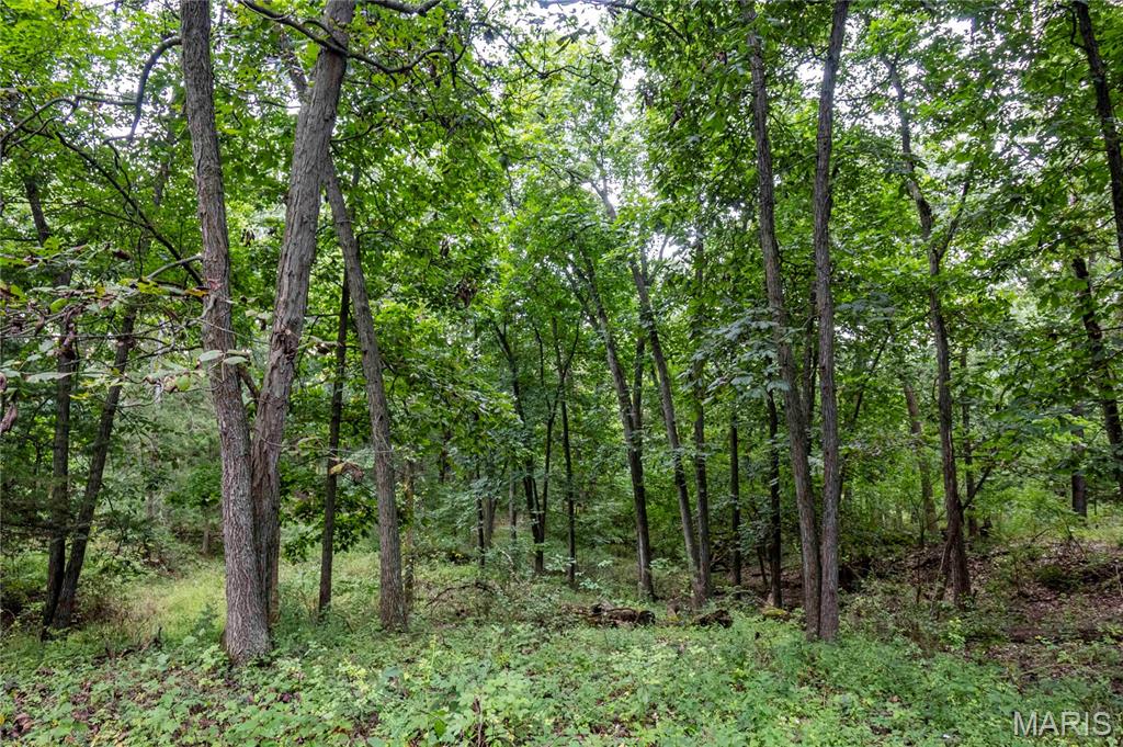 0 293 County Road Kahoka, MO 63445 - Photo 51 of 65 Gallery Image 51