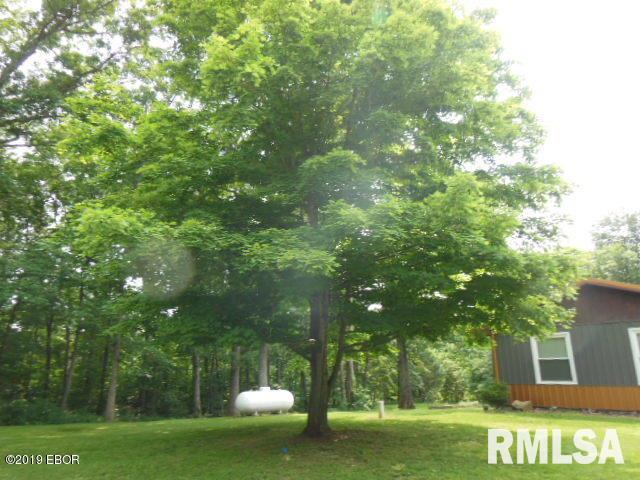 663 Buttonwood Road Xenia, IL 62899 - Photo 47 of 52 Gallery Image 47