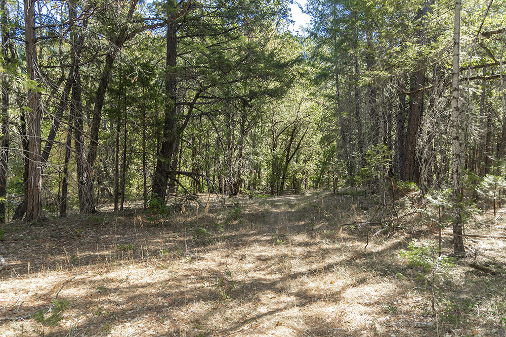 950 Bear Creek Road Selma, OR 97538 - Photo 29 of 36 IMG_5128