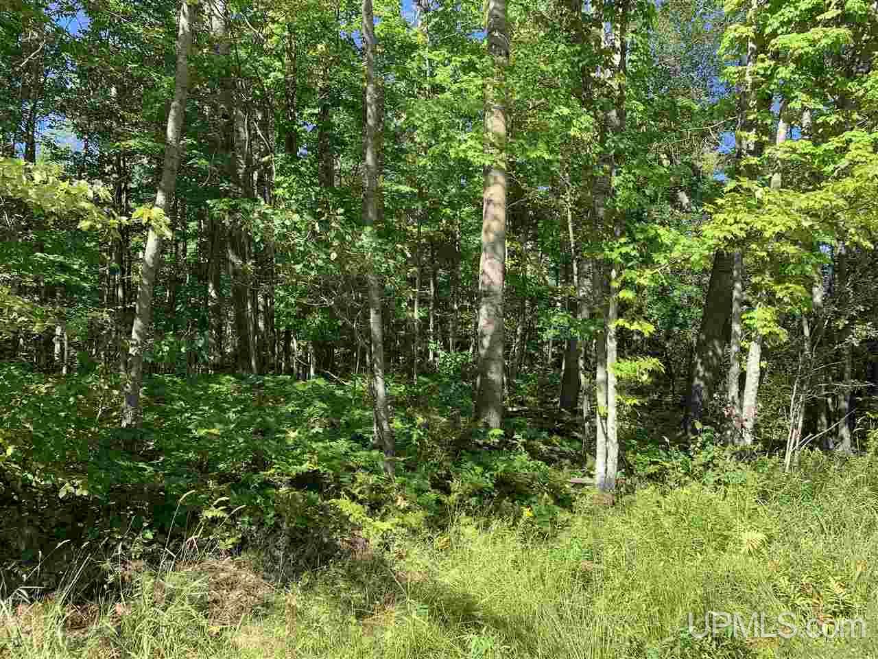 6 Indian Cemetery Road Lanse, MI 49946 - Photo 16 of 16