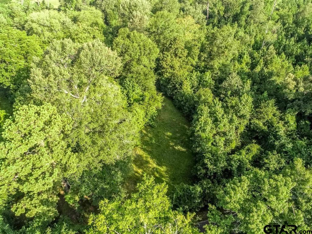 259 & Sego Lily Road Diana, TX 75640 - Photo 3 of 22