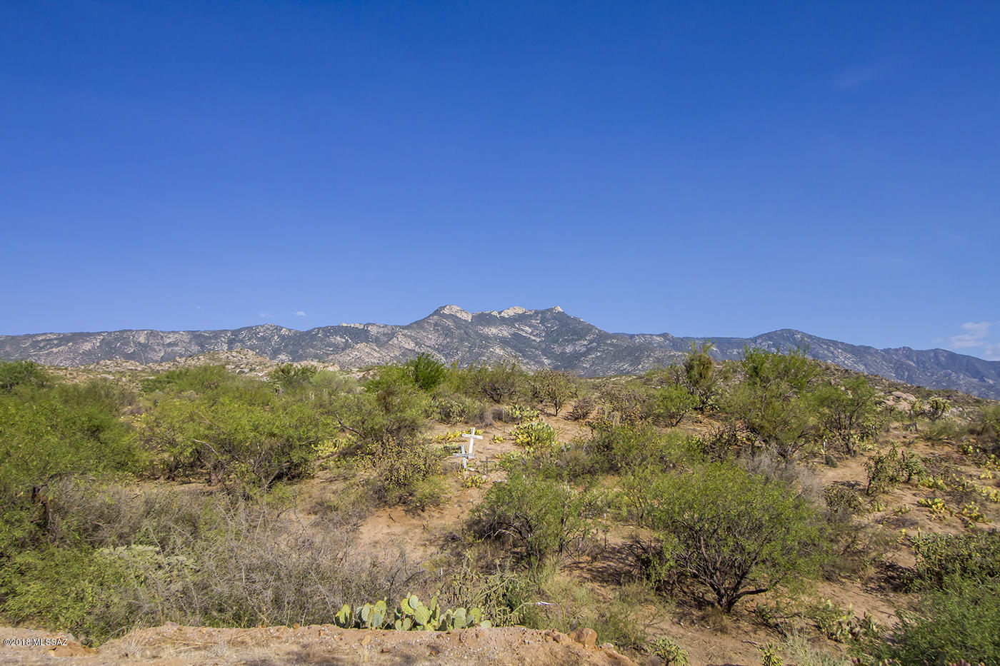 5920 East Edwin Road Tucson, AZ 85739 - Photo 16 of 46 Gallery Image 16